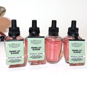 ORANGE LILY BLOSSOM Wallflowers